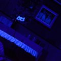 leDSC_5181