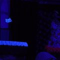 leDSC_5600